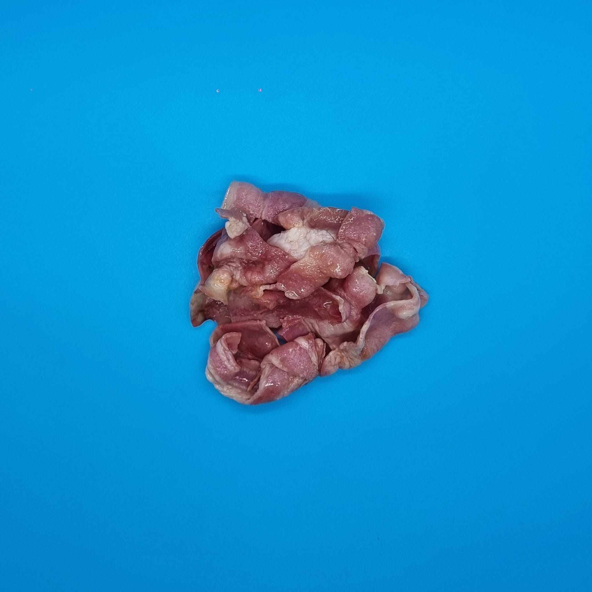 Bacon