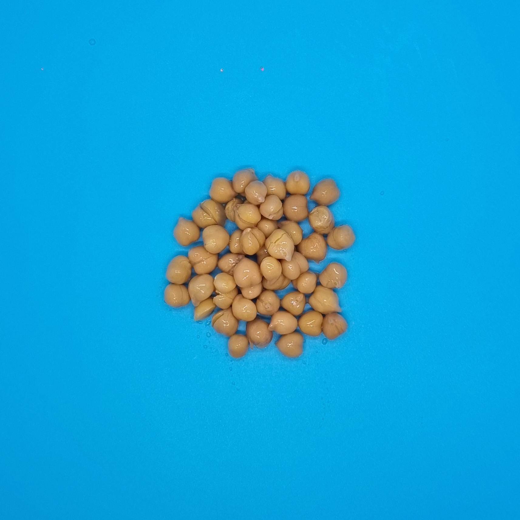 Pois chiches