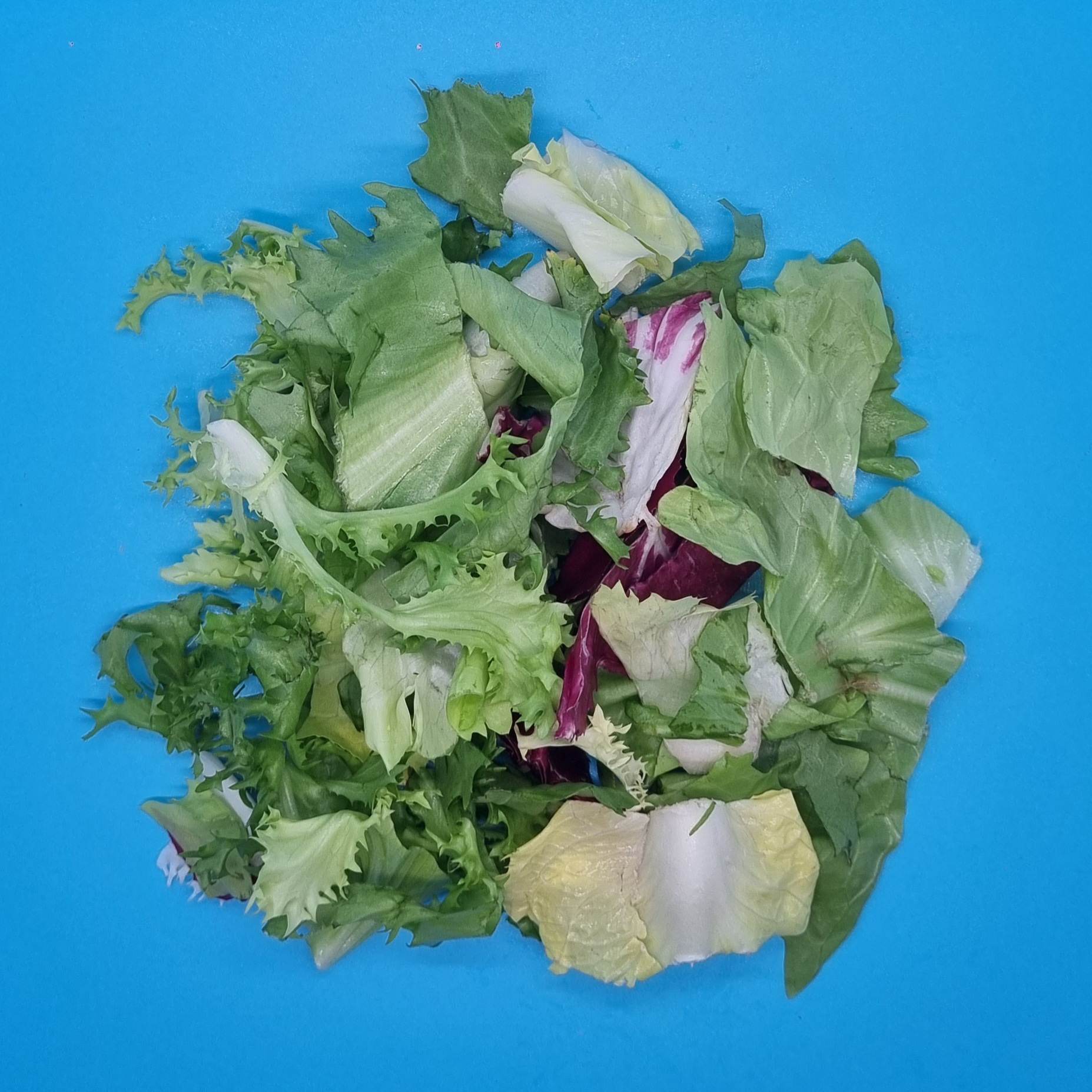 Mélange de salades