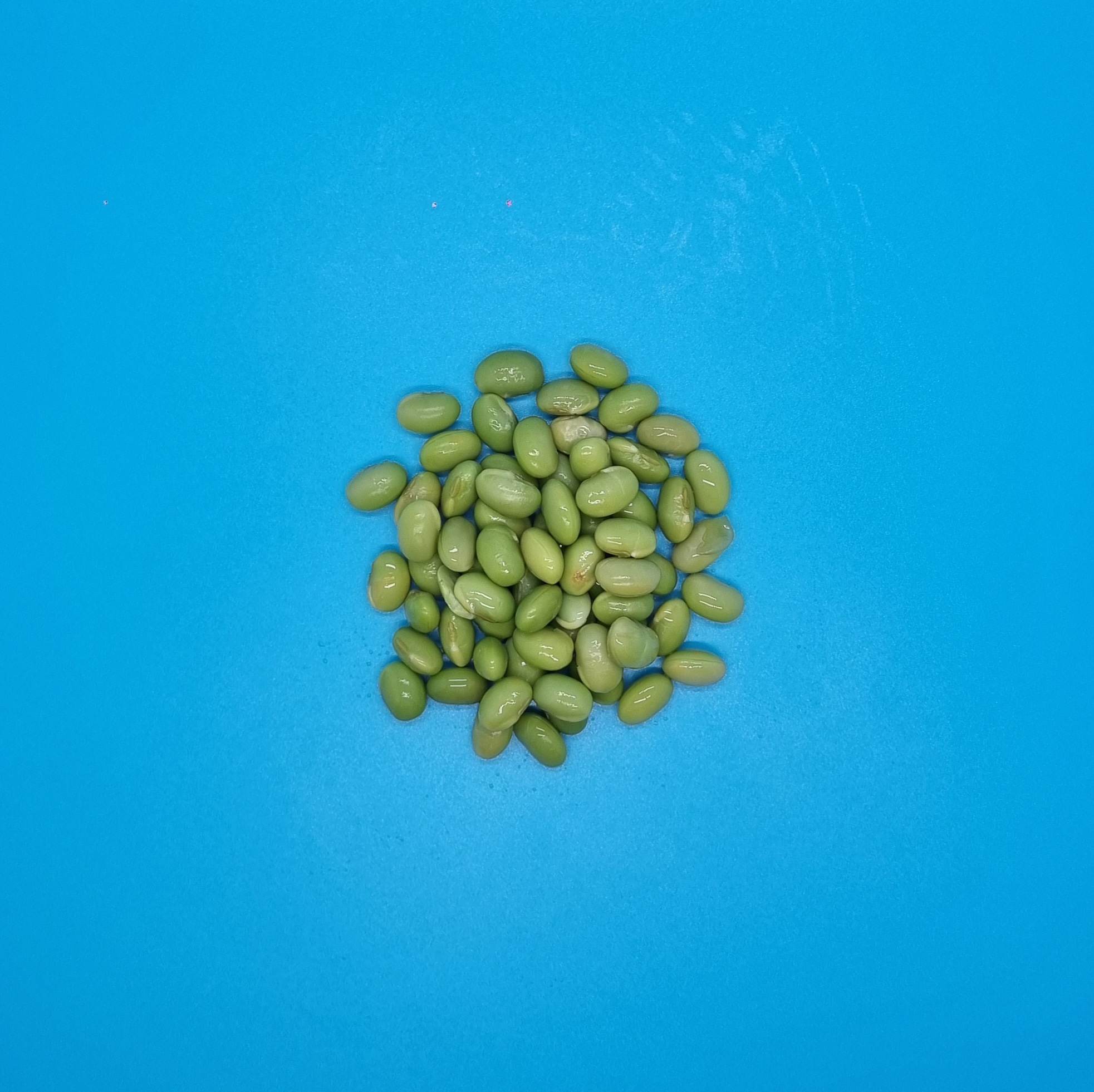 Fèves de soja
